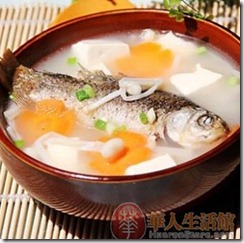 鲫鱼01