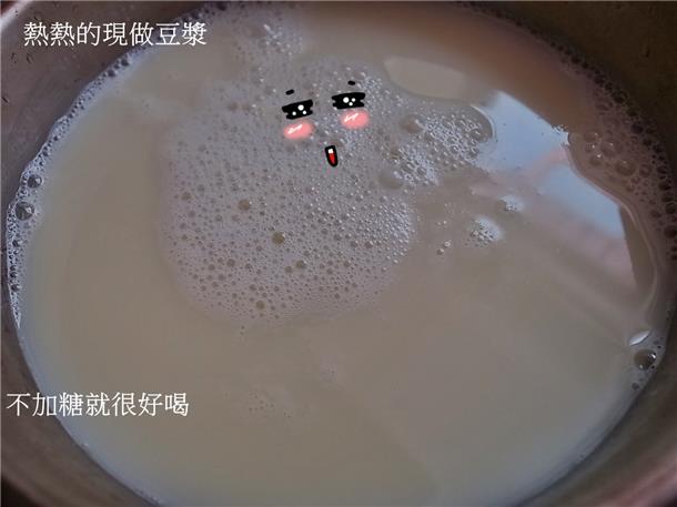 植物奶牛豆浆机DJ13M-D08SG-16
