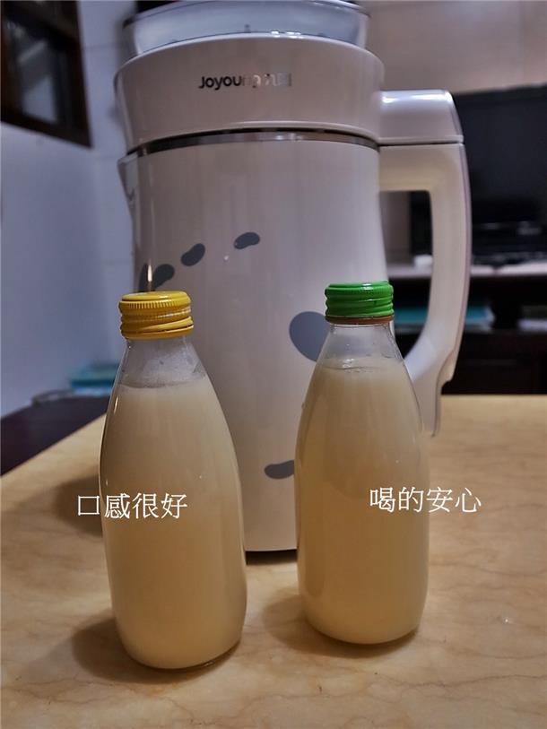 植物奶牛豆浆机DJ13M-D08SG-19