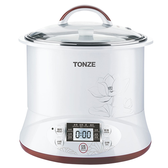 Tonze Smart Twin Ceramic Pot Electric Stewpot DGD22-22EG