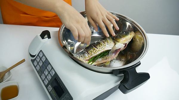 GEMSide Automatic Meal Cooker E151