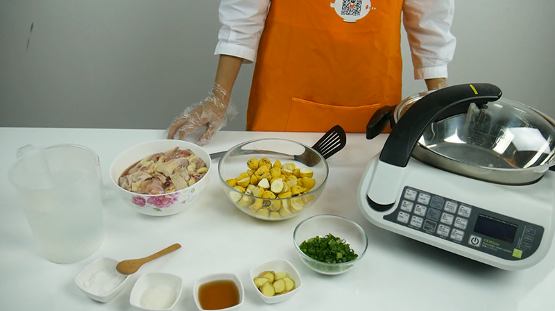 GEMSide Automatic Meal Cooker E151