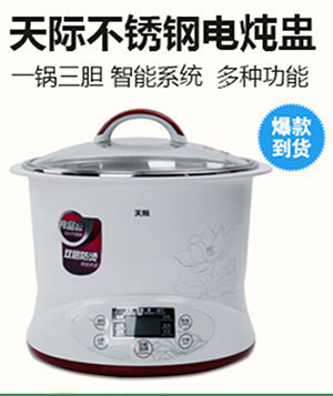 Tonze Smart Twin Ceramic Pot Electric Stewpot DGD22-22EG