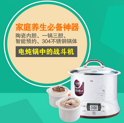 Tonze Smart Twin Ceramic Pot Electric Stewpot