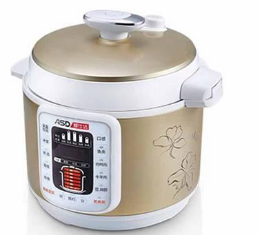 Electric Pressure Cooker1