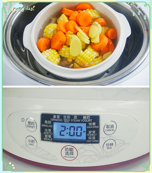 Tonze Smart Twin Ceramic Pot Electric Stewpot