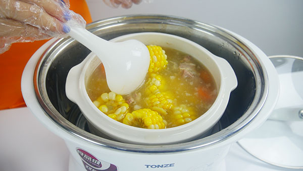 Tonze Smart Twin Ceramic Pot Electric Stewpot