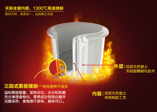 Tonze Smart Twin Ceramic Pot Electric Stewpot DGD22-22EG