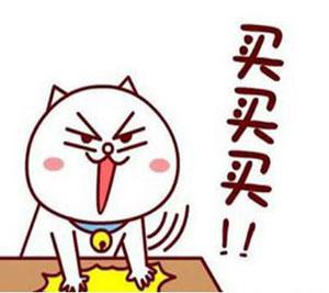 美国捷赛木烟炒锅