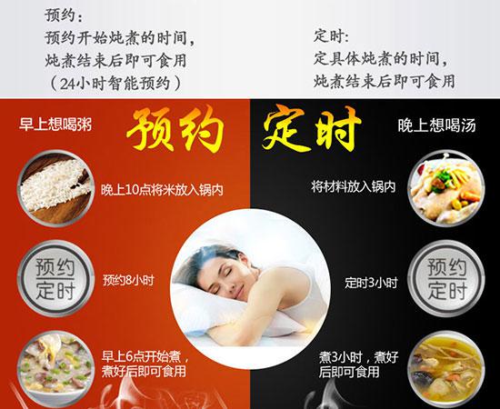 美国家用电饭煲