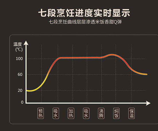 美国家用电饭煲