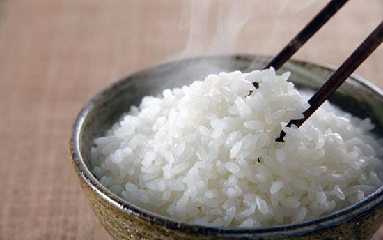 美国家用电饭煲