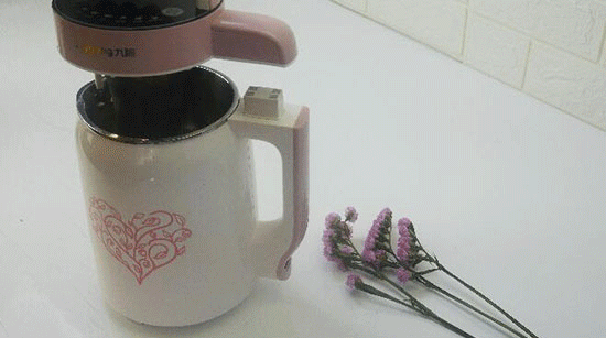 美国 九阳豆浆机