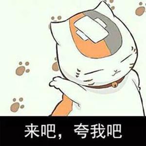 九阳 电压力锅