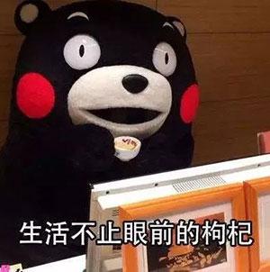 北美 电 炖 盅
