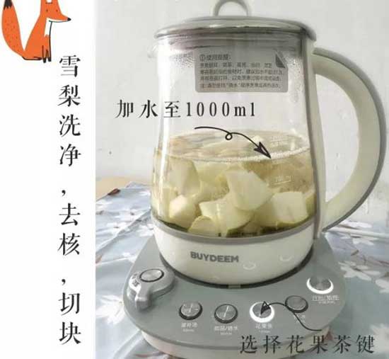 美国 养生壶