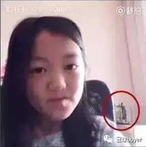 美国北鼎 养生壶