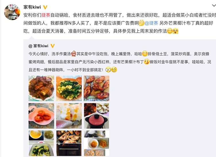 美国捷赛自动烹饪锅