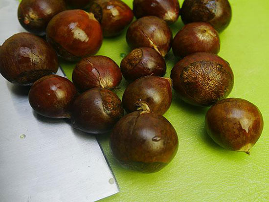 美国Aicooker紫砂电饭煲F401B