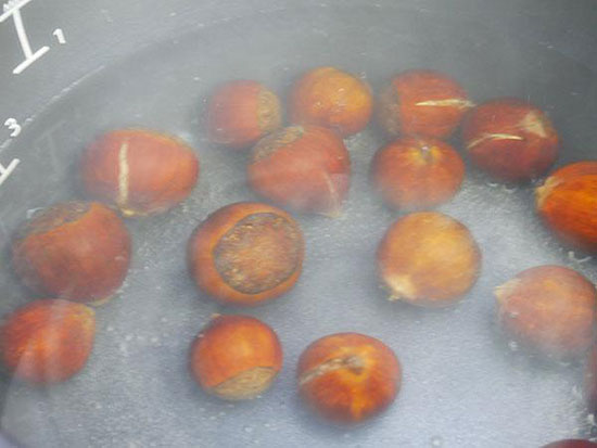 美国Aicooker紫砂电饭煲F401B