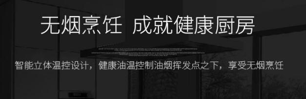 美国 民杭 自动烹饪锅