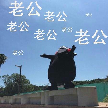 美国民杭 自动炒菜机