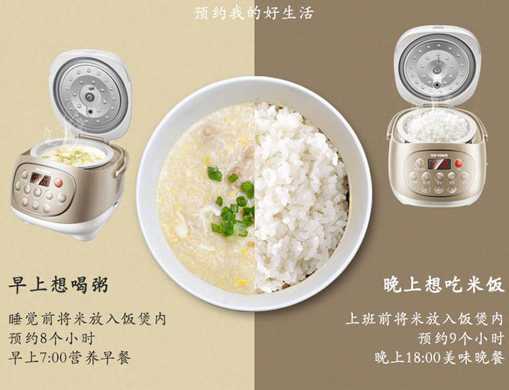 美国120V电饭煲