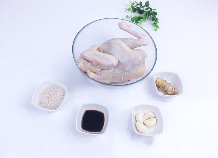 美国九阳电饭煲