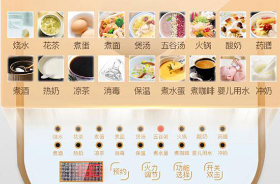 美国110V养生壶