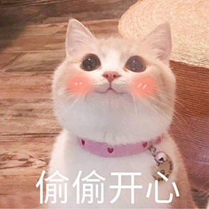美国Aicooker面条机