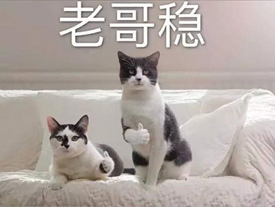 美国Aicooker面条机