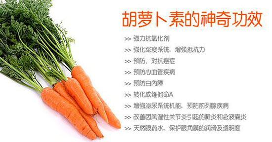 美国110V面条机