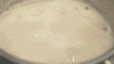 美国九阳豆浆机