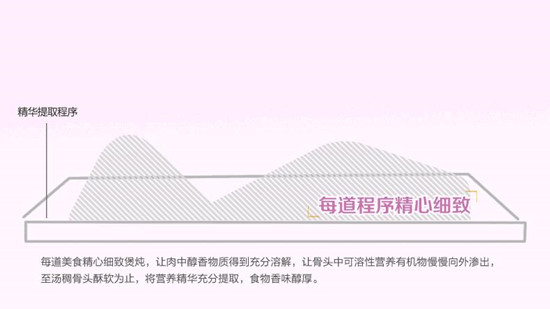 美国天际电炖盅
