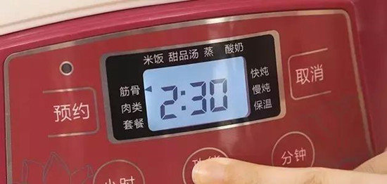美国120V全自动隔水电炖盅