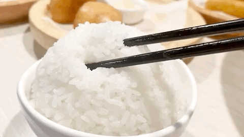 天际陶瓷电饭煲
