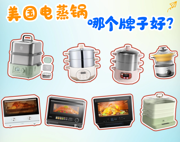 电蒸锅哪个品牌好？