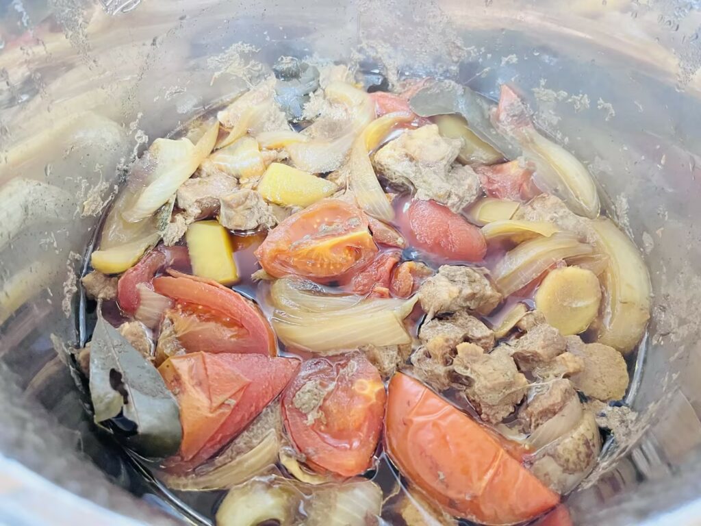 Joydeem电炖锅快炖番茄牛腩