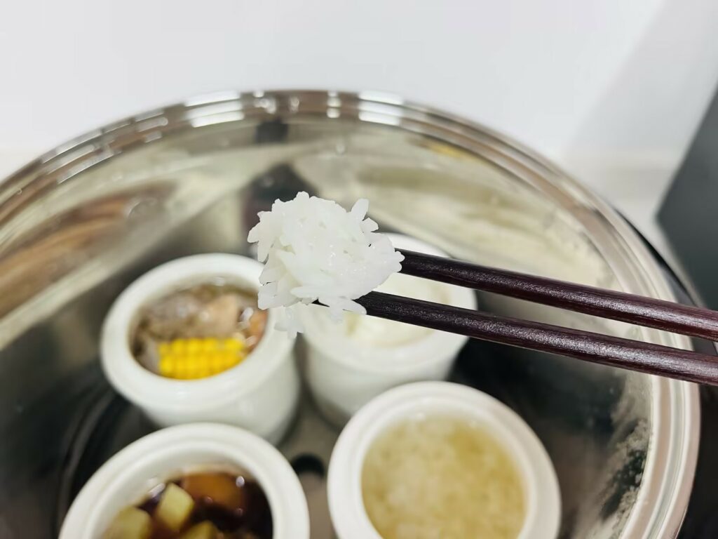 Joydeem电炖锅炖饭