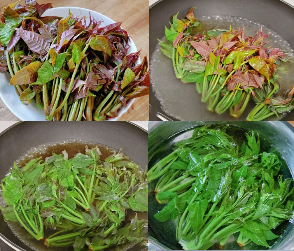 香椿炒蛋